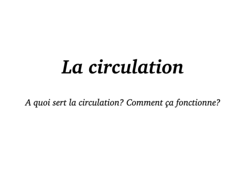 Coeur, Poumons et Circulation.003