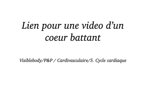 Coeur, Poumons et Circulation.015