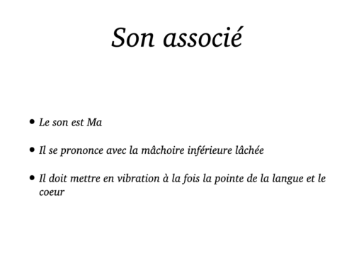 Coeur, Poumons et Circulation.016