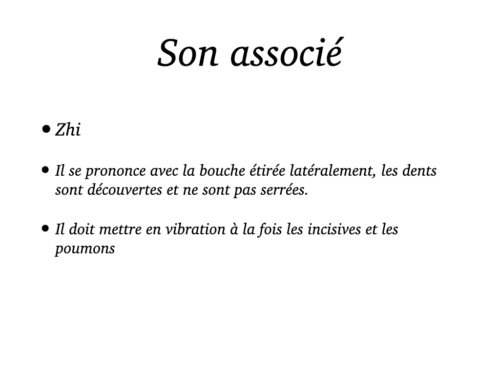 Coeur, Poumons et Circulation.022