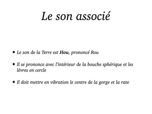 Coeur, Poumons et Circulation.039