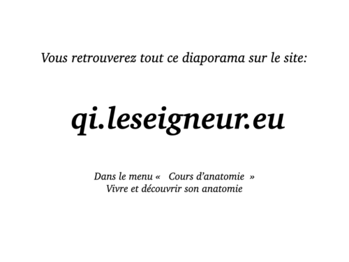 Coeur, Poumons et Circulation.048