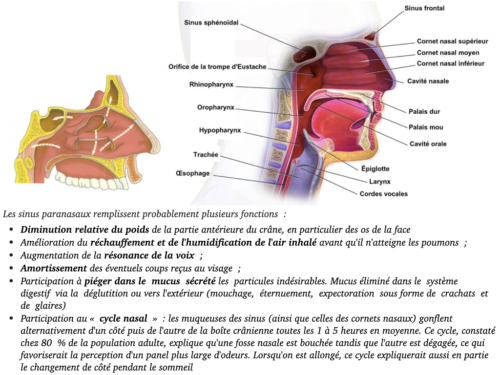 La Respiration pour tous.005