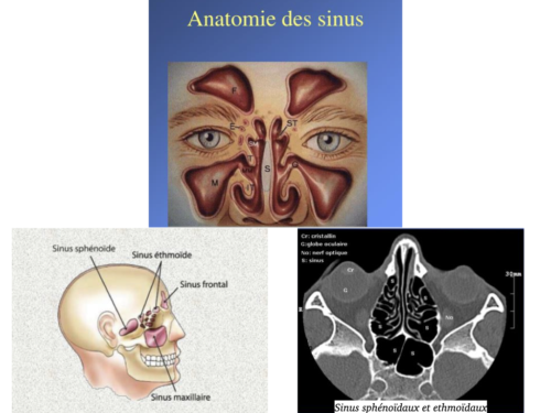 La Respiration pour tous.006