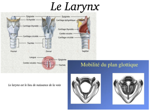 La Respiration pour tous.007