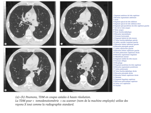 La Respiration pour tous.011