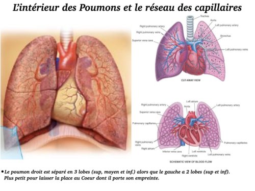 La Respiration pour tous.014