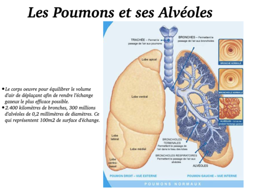 La Respiration pour tous.015