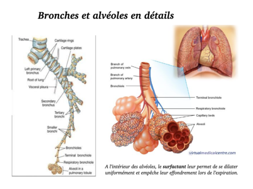 La Respiration pour tous.016