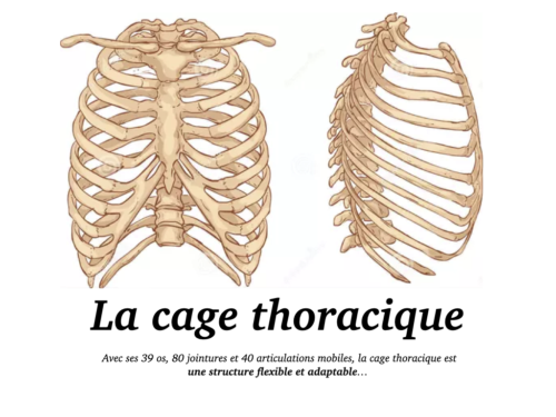 La Respiration pour tous.022