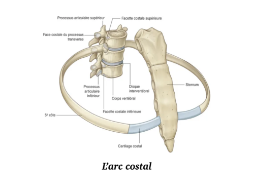 La Respiration pour tous.023