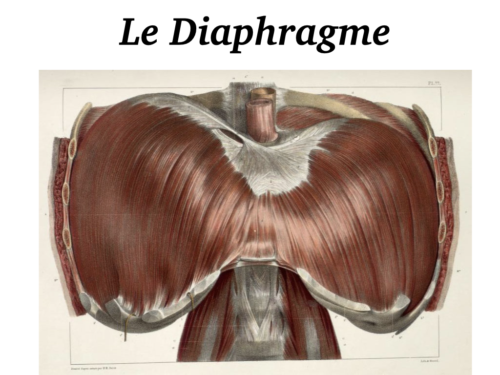 La Respiration pour tous.026