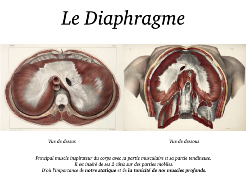 La Respiration pour tous.027