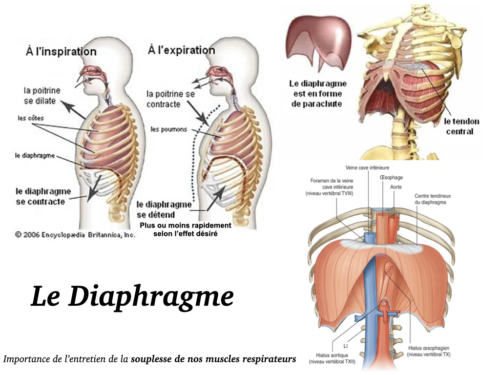 La Respiration pour tous.028
