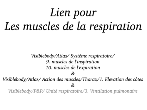 La Respiration pour tous.029