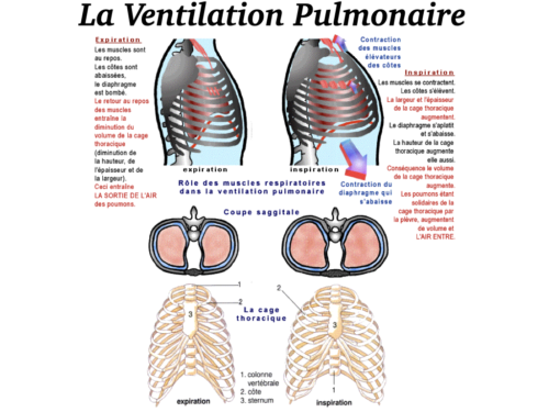 La Respiration pour tous.030