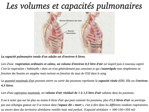 La Respiration pour tous.033