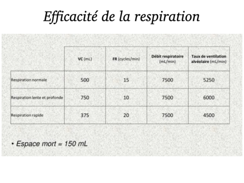 La Respiration pour tous.035