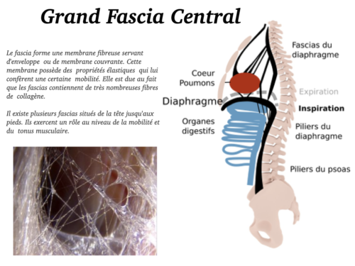La Respiration pour tous.037