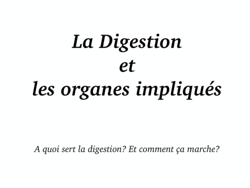 digestion02